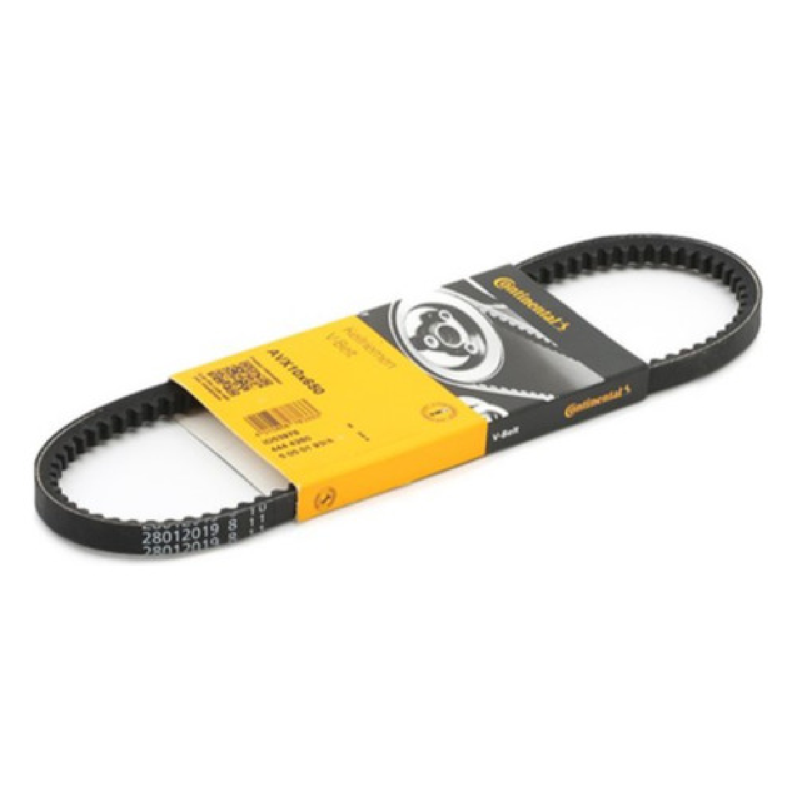 Correia de Acessórios - Continental Contitech - AVX10X650 - (1)