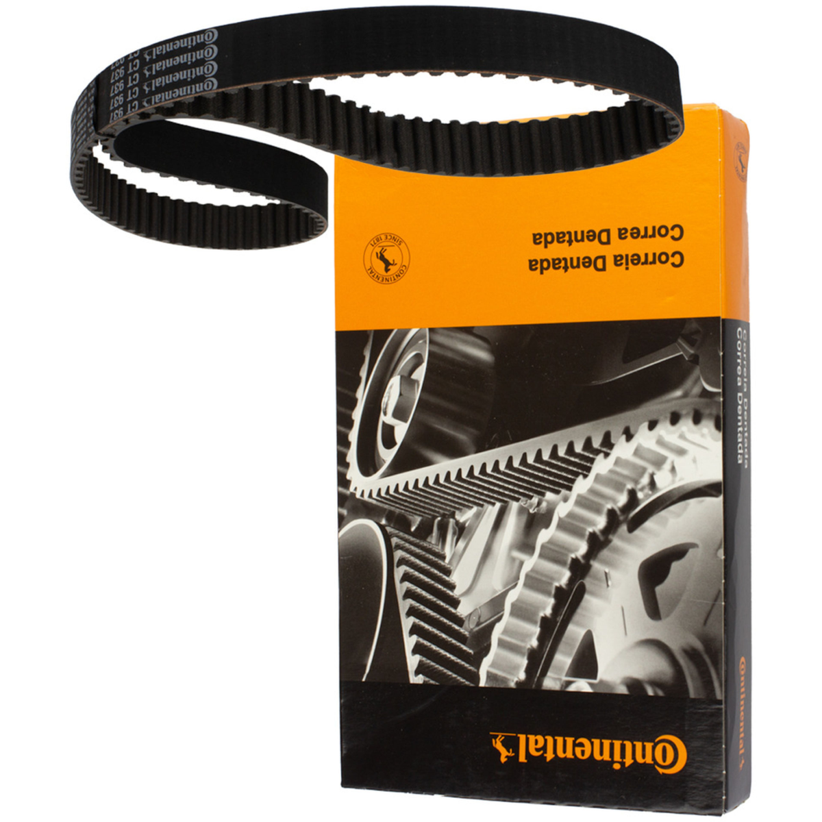 Correia Dentada Sincronizadora - Contitech - CT848 - (6)