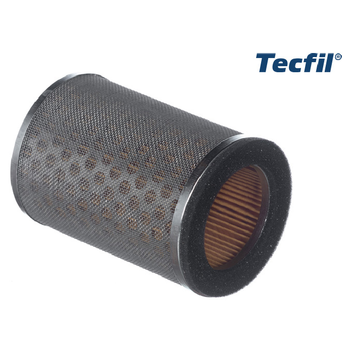 Filtro de Ar do Motor - Tecfil - ARM438/1 - (1)