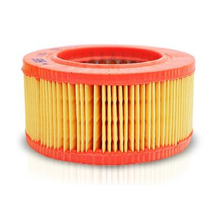 Filtro de Ar - Mann-Filter - C1535/1 - (1)