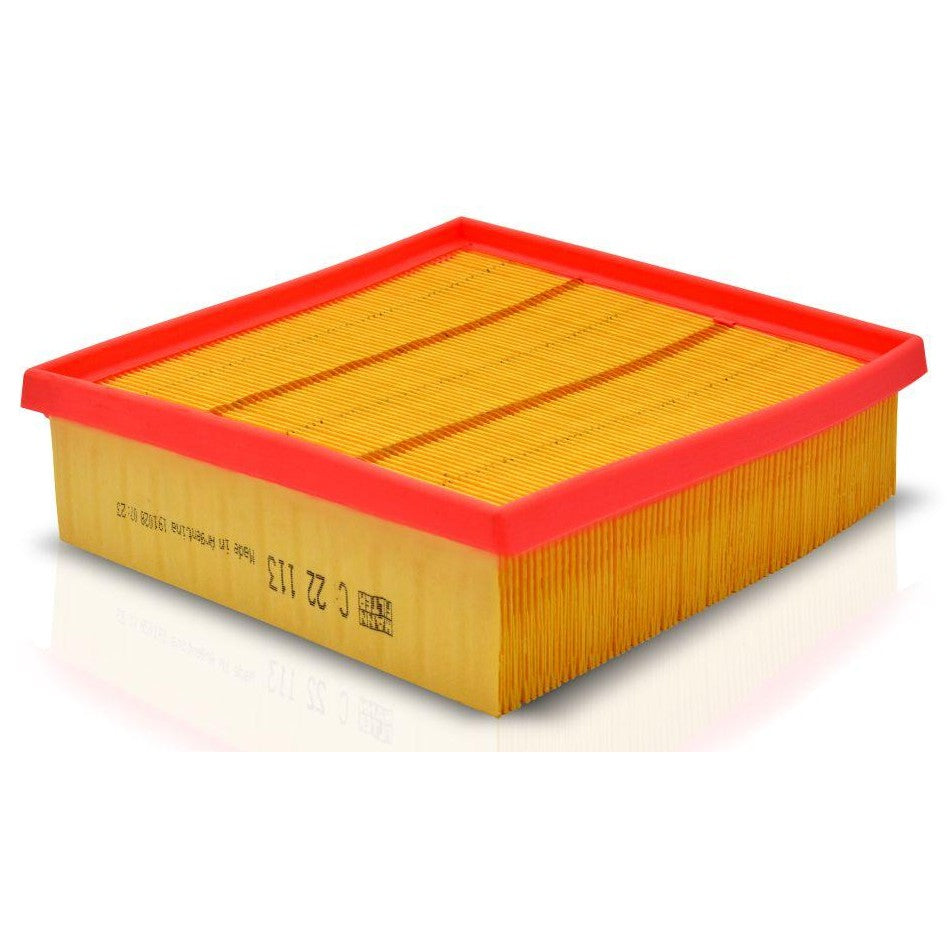 Filtro de Ar - Mann-Filter - C22113 - (1)