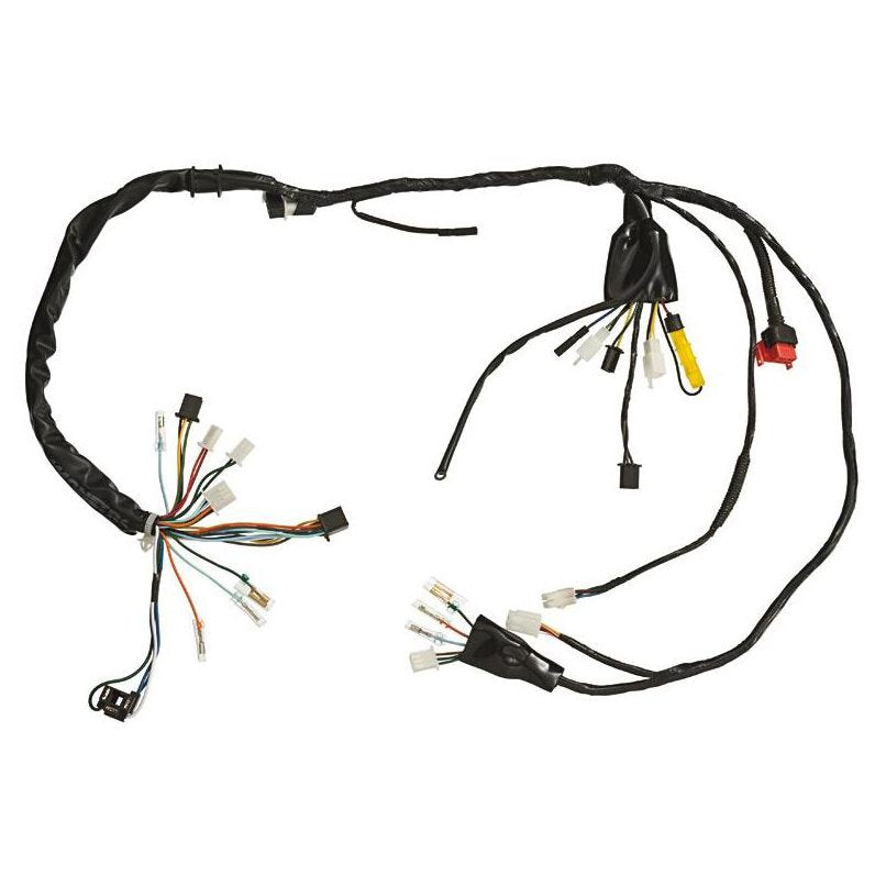 Chicote Elétrico Principal - MAGNETRON - 90285040 - (1)