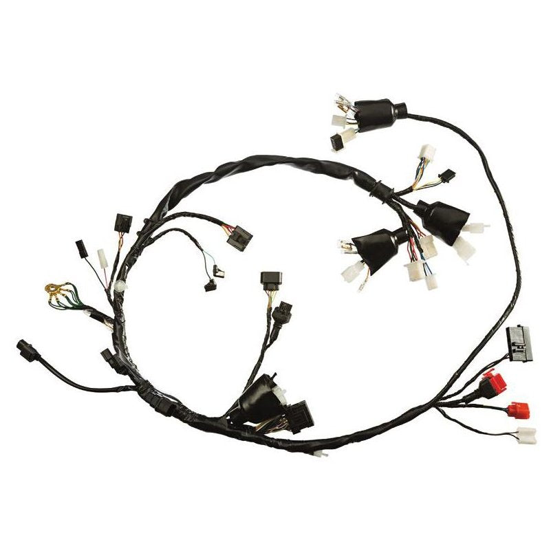 Chicote Elétrico Principal - MAGNETRON - 90285700 - (1)
