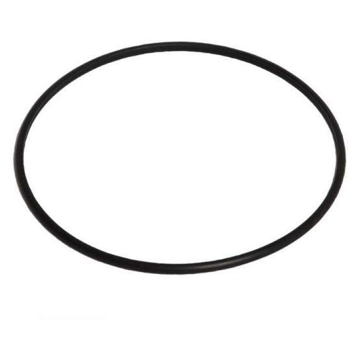 Guarnição da Flange do Módulo de Combustível - DSC - 2088 - (1)