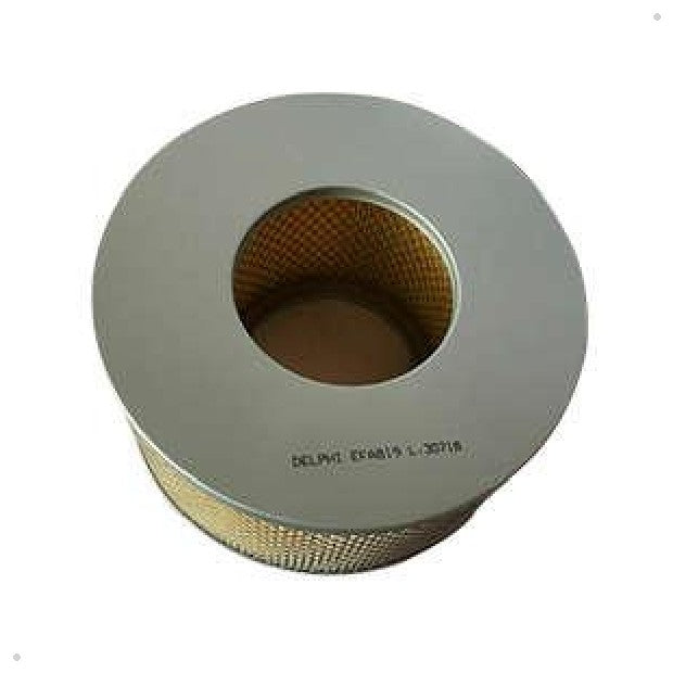 Elemento Filtrante de Ar do Motor - Delphi - EFA819 - (1)