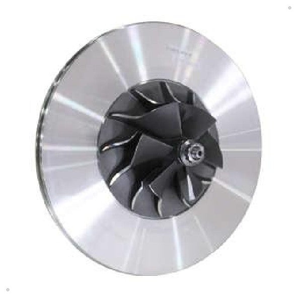 Conjunto Central da Turbina - Delphi - HNC172 - (1)