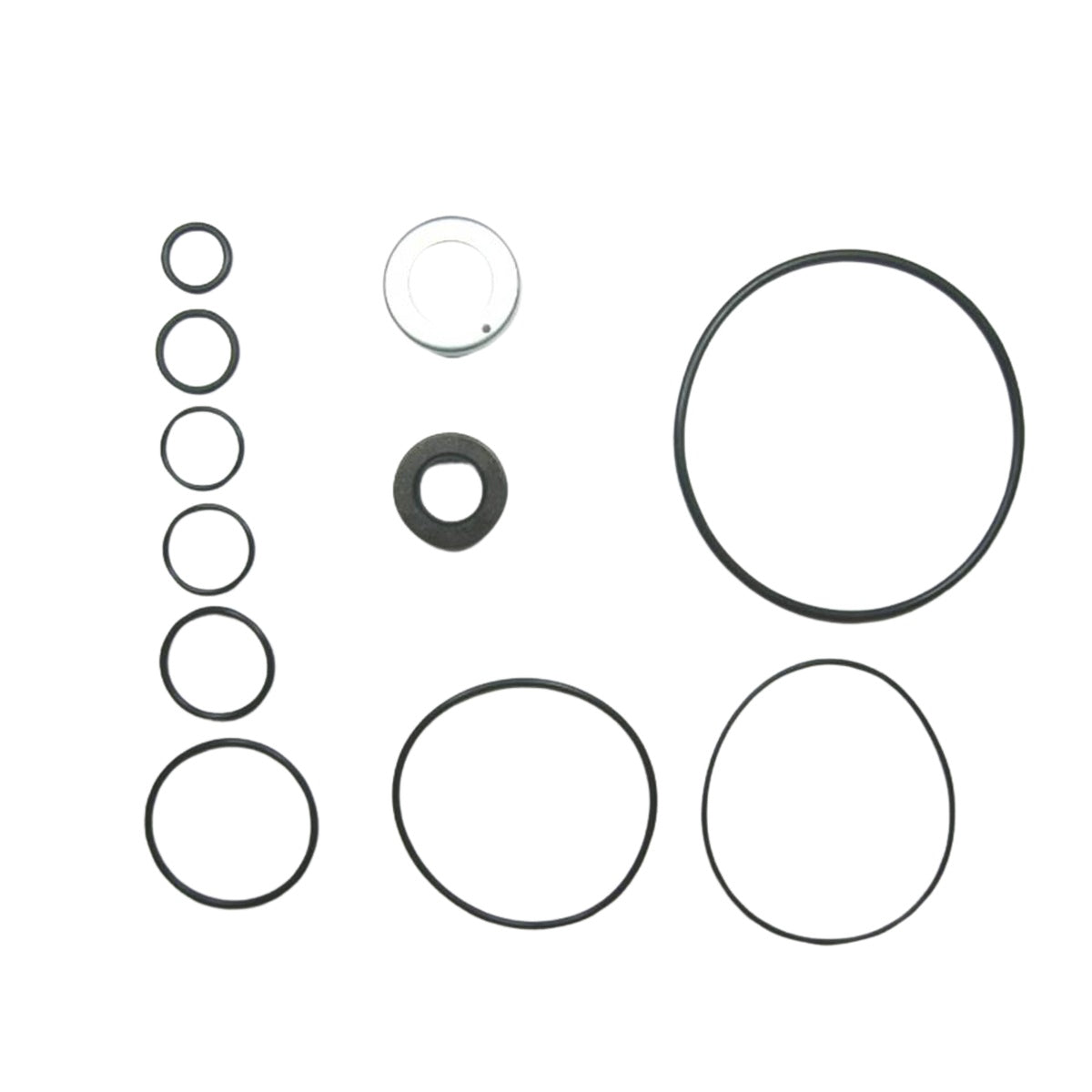 Kit de Reparo de Bomba Hidráulica - Corteco - 58809K - (1)