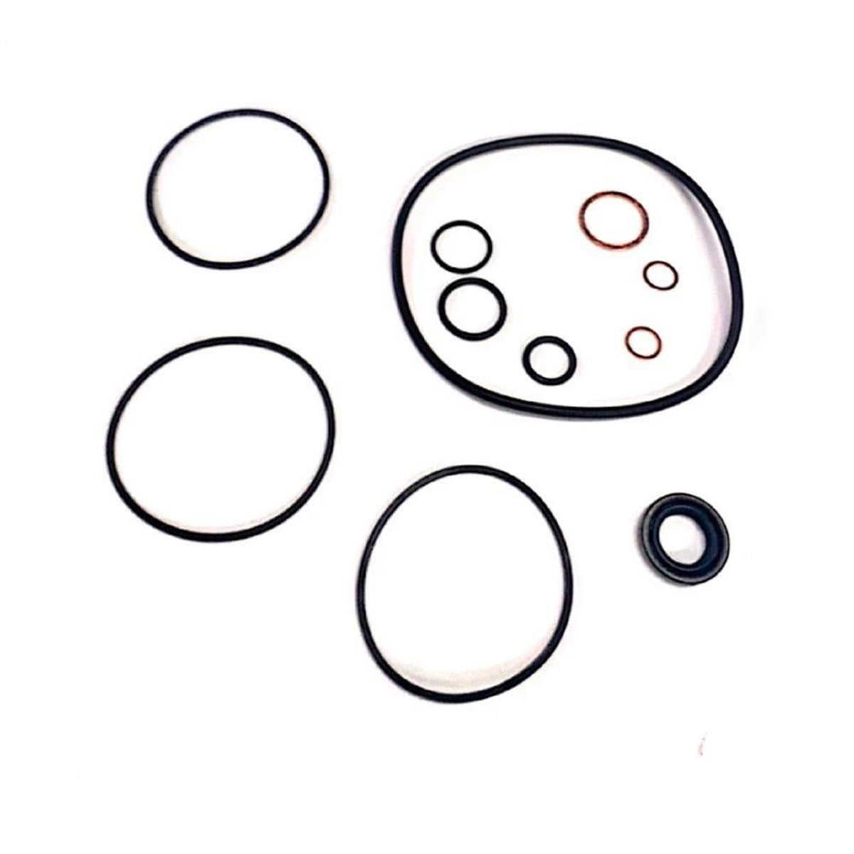 Kit de Reparo de Bomba Hidráulica - Corteco - 58800K - (1)