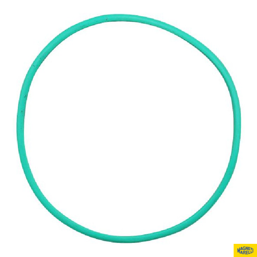 Guarnição Da Flange Do Módulo De Combustível - Magneti Marelli - GFMC6202 - (1)