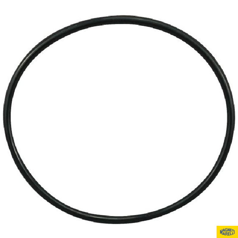 Guarnição Da Flange Do Módulo De Combustível - Magneti Marelli - GFMC6702 - (1)