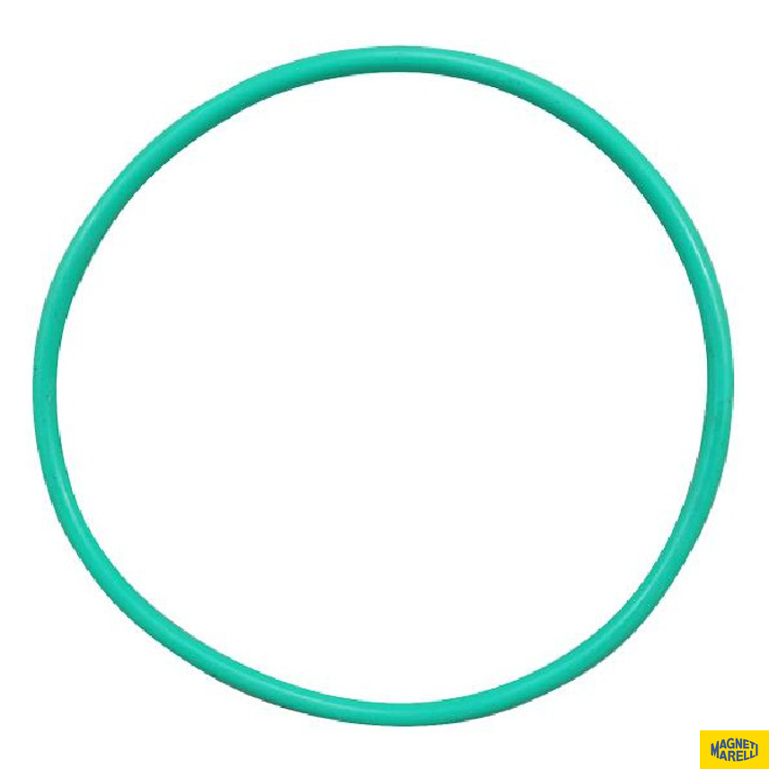 Guarnição Da Flange Do Módulo De Combustível - Magneti Marelli - GFMC7002 - (1)