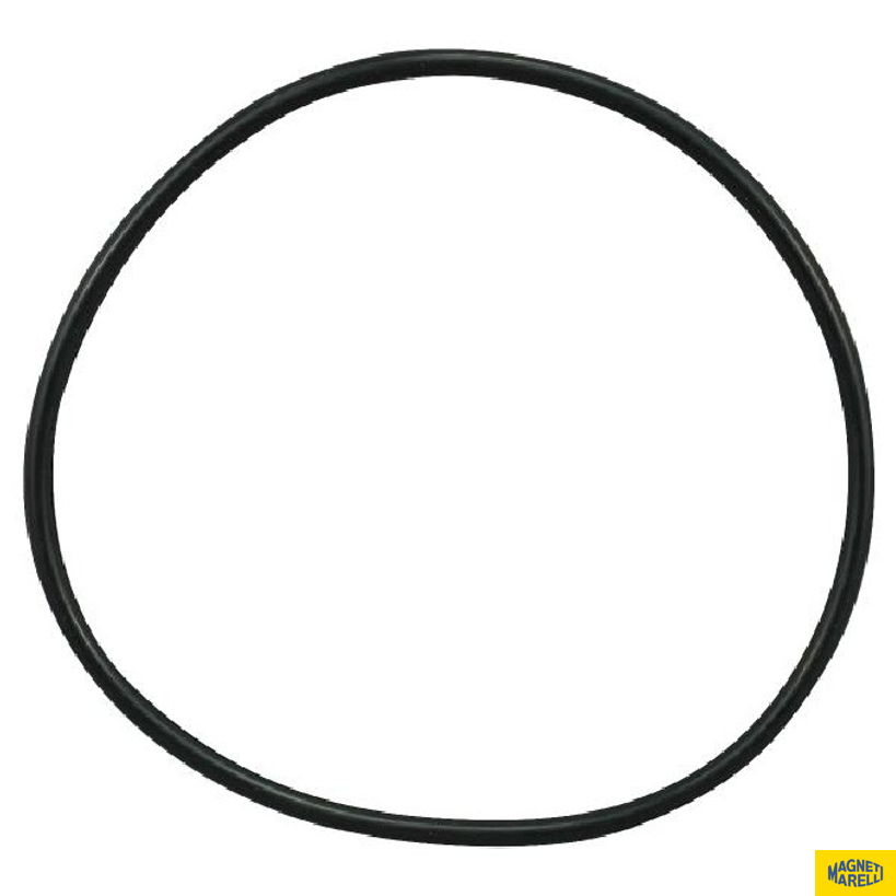 Guarnição Da Flange Do Módulo De Combustível - Magneti Marelli - GFMC7102 - (1)