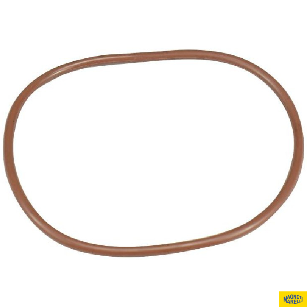Guarnição Da Flange Do Módulo De Combustível - Magneti Marelli - GFMC6902 - (1)