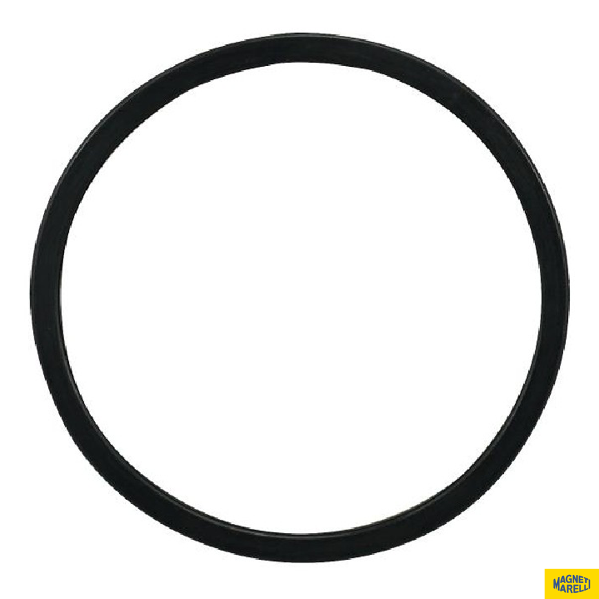 Guarnição Da Flange Do Módulo De Combustível - Magneti Marelli - GFMC7902 - (1)