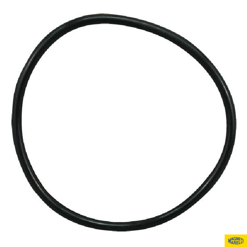 Guarnição Da Flange Do Módulo De Combustível Fiat Mobi - Magneti Marelli - GFMC7202 - (1)