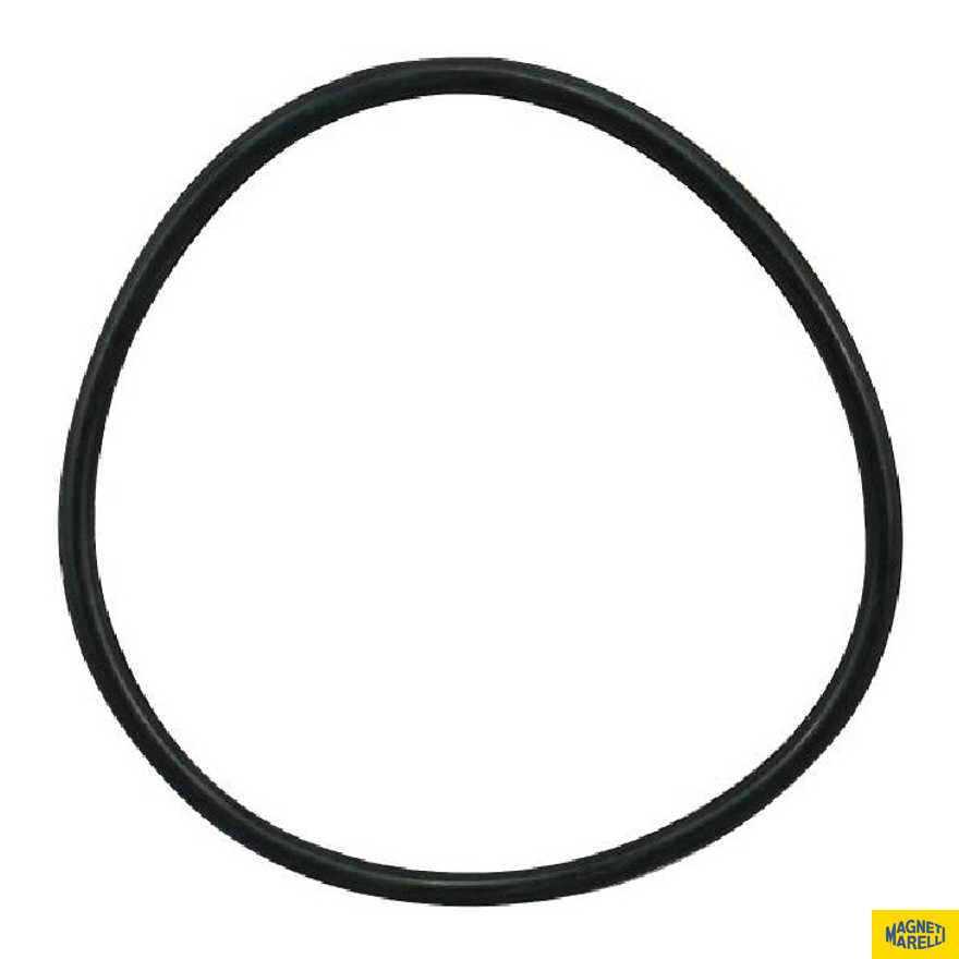 Guarnição Da Flange Do Módulo De Combustível - Magneti Marelli - GFMC9102 - (1)