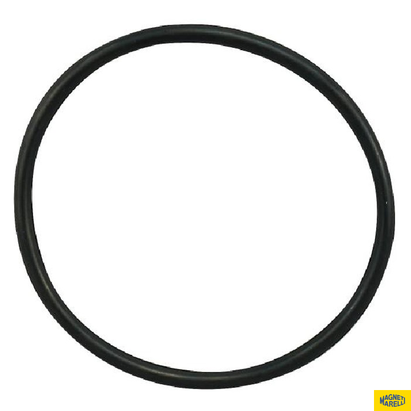 Guarnição Da Flange Do Módulo De Combustível - Magneti Marelli - GFMC8902 - (1)