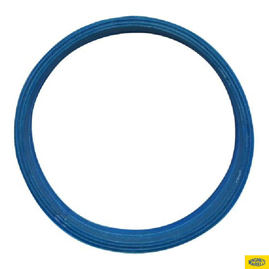Guarnição Da Flange Do Módulo De Combustível - Magneti Marelli - GFMC8102 - (1)