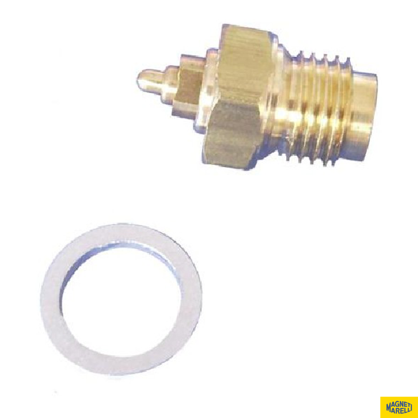 Conjunto De Válvula Da Bóia Do Carburador - Magneti Marelli - 48810402 - (1)