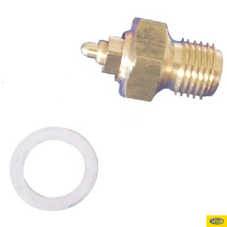 Conjunto De Válvula Da Bóia Do Carburador - Magneti Marelli - 48811202 - (1)