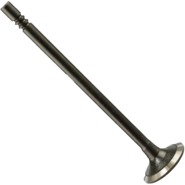 Válvula de Admissão - Magneti Marelli - VAC08001 - (3)