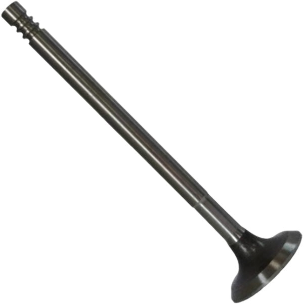 Válvula de Admissão - Magneti Marelli - VAC03004 - (3)