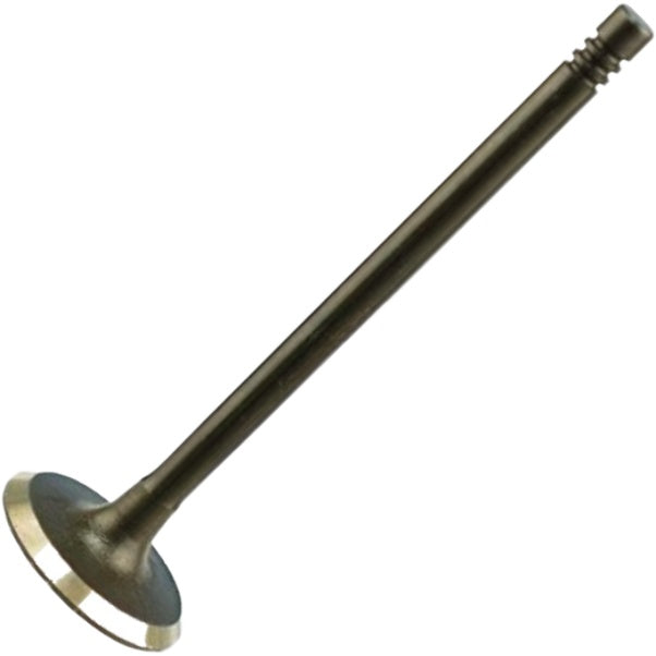 Válvula de Admissão - Magneti Marelli - VAC08009 - (2)