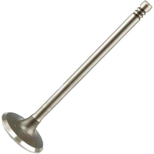 Válvula de Admissão - Magneti Marelli - VAC04016 - (2)