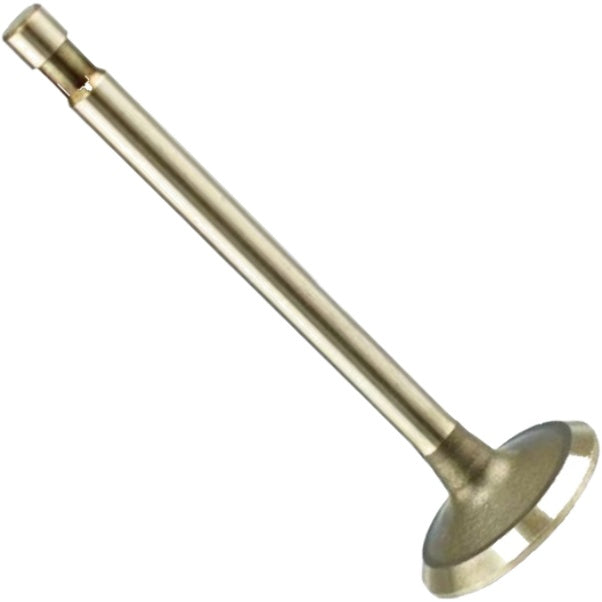 Válvula de Admissão - Magneti Marelli - VAC08013 - (3)