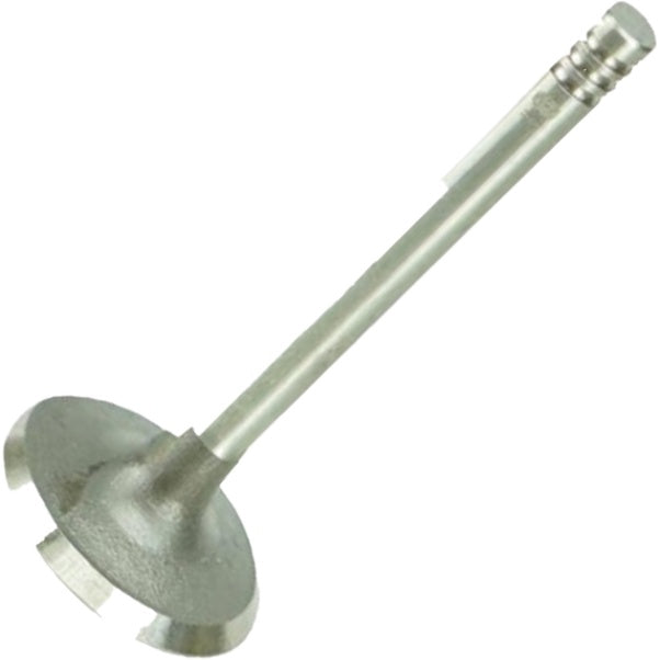 Válvula de Admissão - Magneti Marelli - VAC01011 - (2)