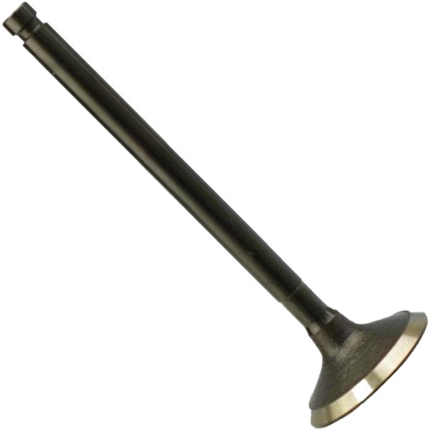Válvula de Admissão - Magneti Marelli - VAC03020 - (3)