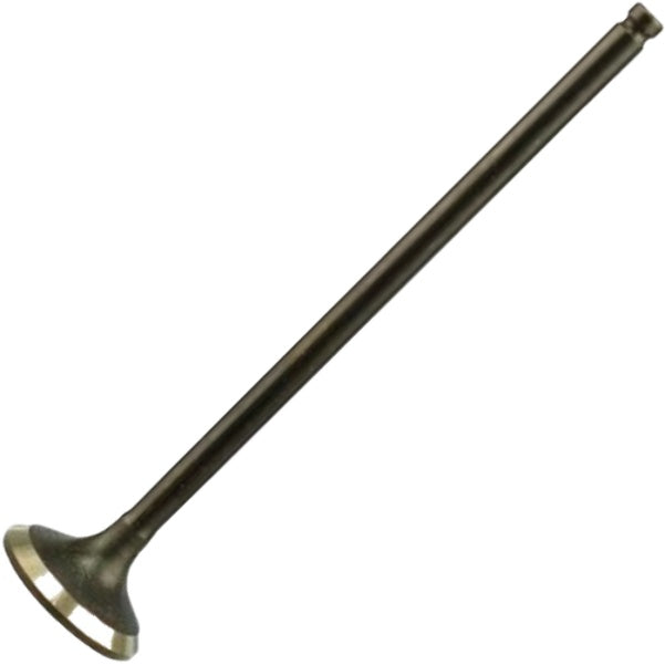 Válvula de Escape - Magneti Marelli - VEC10004 - (2)