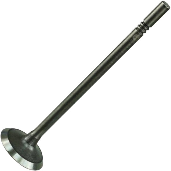 Válvula de Escape - Magneti Marelli - VEC08025 - (2)