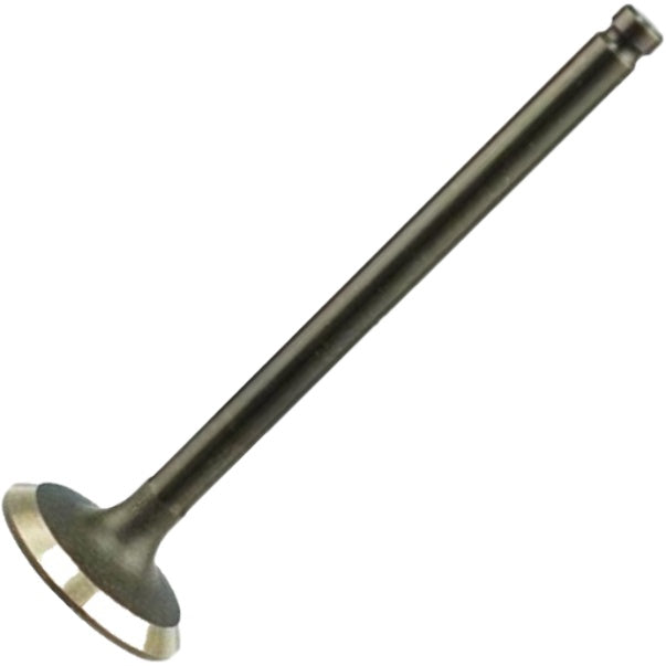 Válvula de Escape - Magneti Marelli - VEC04022 - (2)