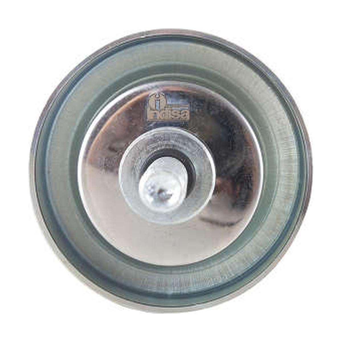 Polia do Alternador - Indisa - T254330CP - (2)