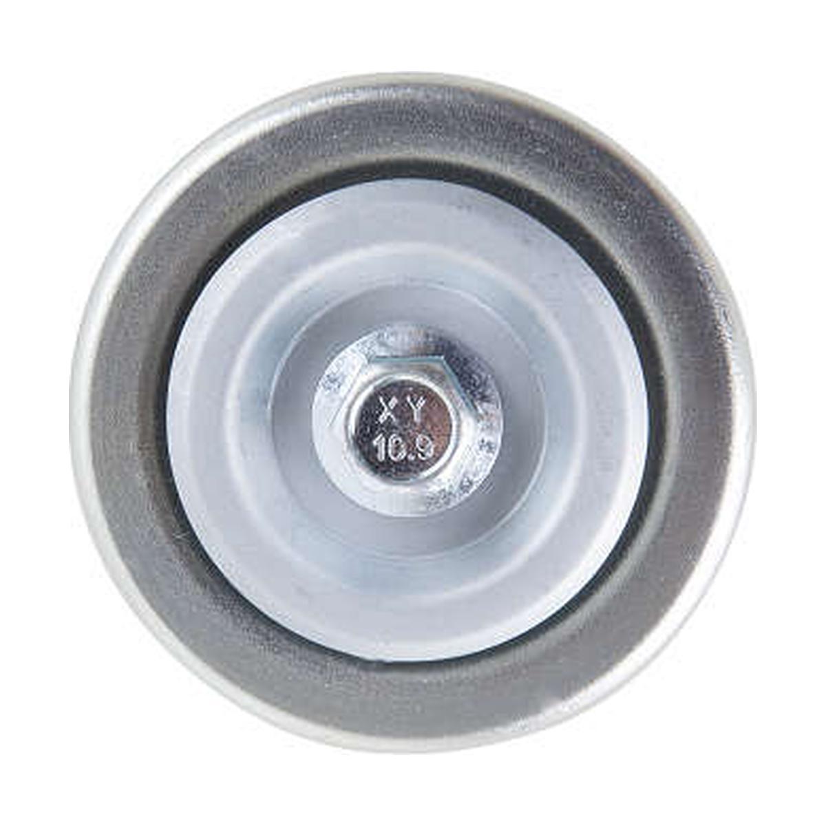 Polia do Alternador - Indisa - T254330CP - (3)