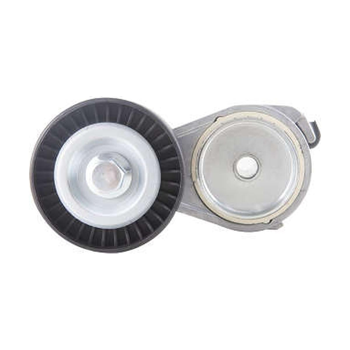Polia do Alternador - Indisa - T257809 - (2)