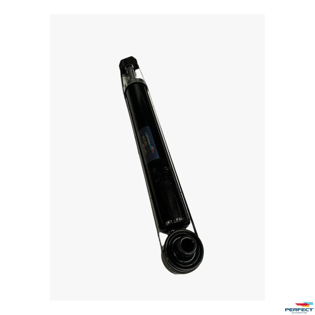 Amortecedor de Suspensão Traseira - Perfect - AMD03102 - (1)