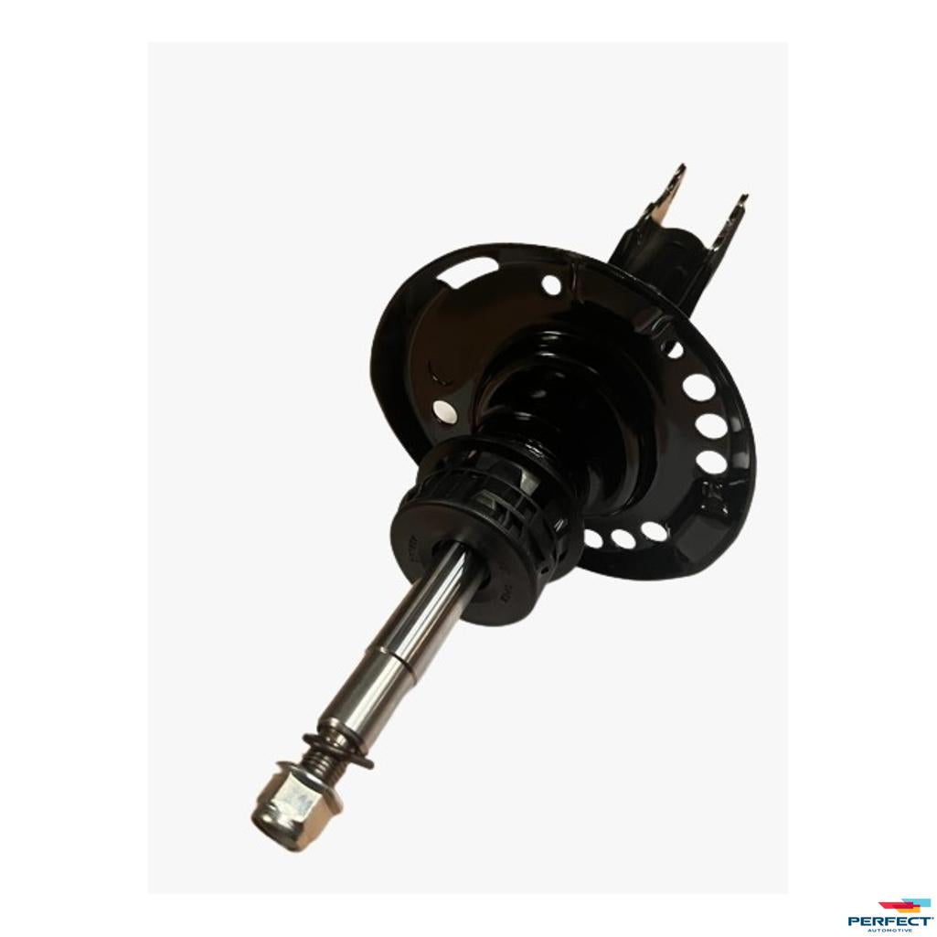 Amortecedor Dianteiro Direito - Perfect - AMD3012 - (1)
