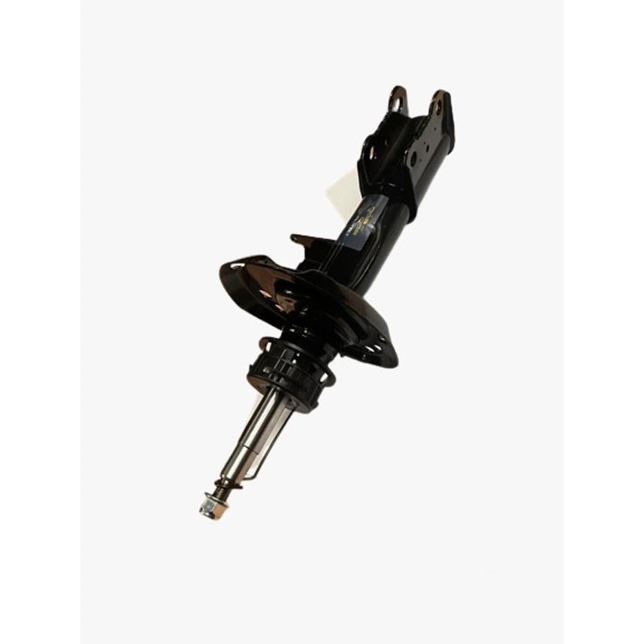 Amortecedor Dianteiro Direito - Perfect - AMD3012 - (2)