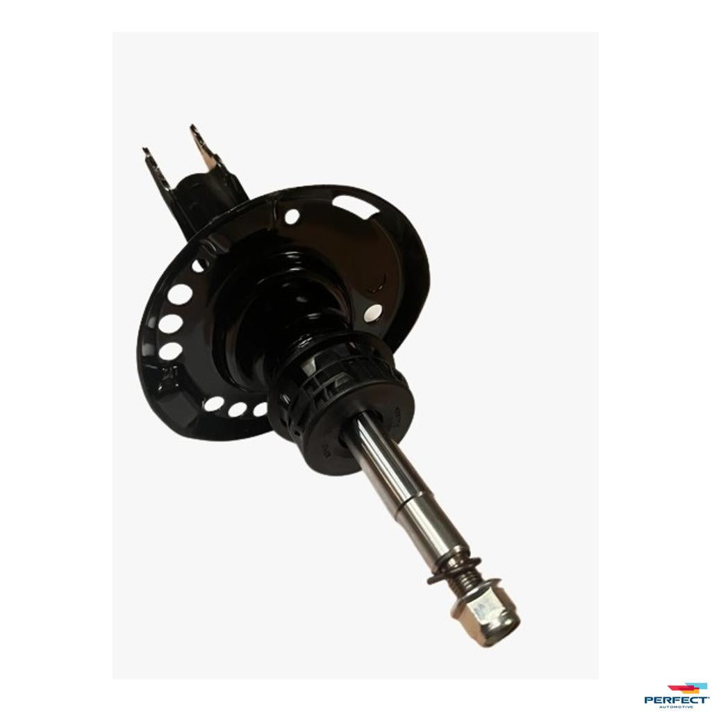 Amortecedor Dianteiro Esquerdo - Perfect - AMD3013 - (1)