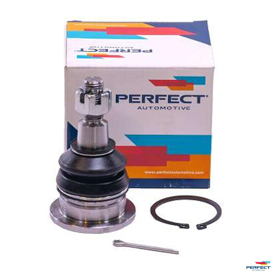 Pivo Tras - Perfect - PVI0401 - (1)