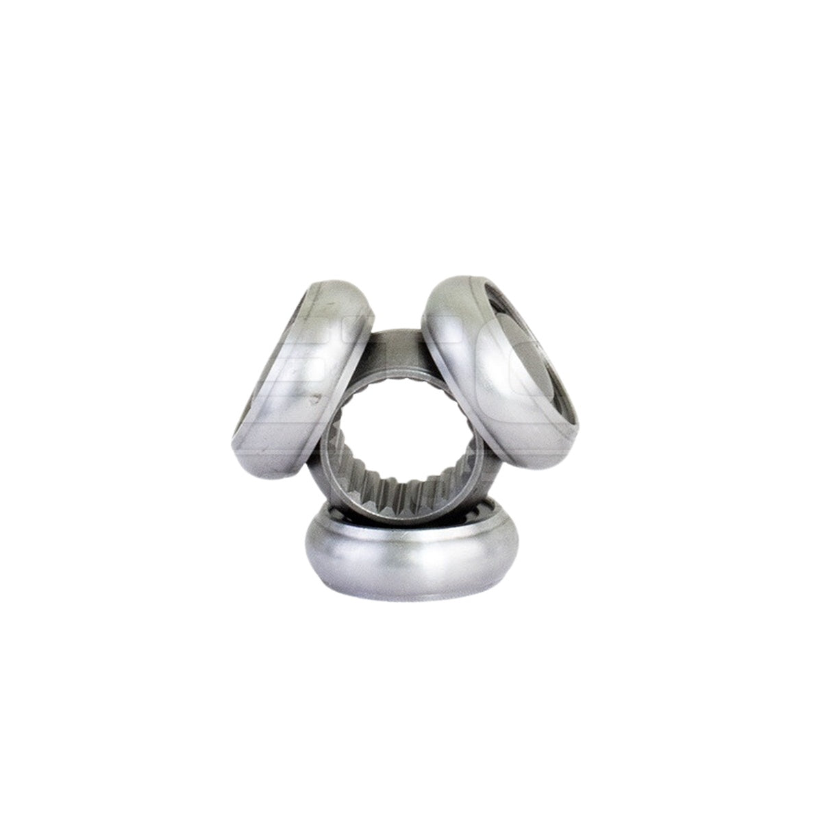 Tulipa - Vetor - VT5681 - (6)