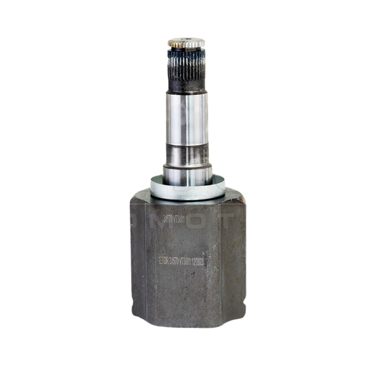 Tulipa - Vetor - VT5681 - (8)
