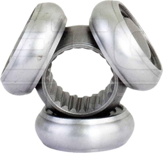 Tulipa - Vetor - VT5681 - (2)