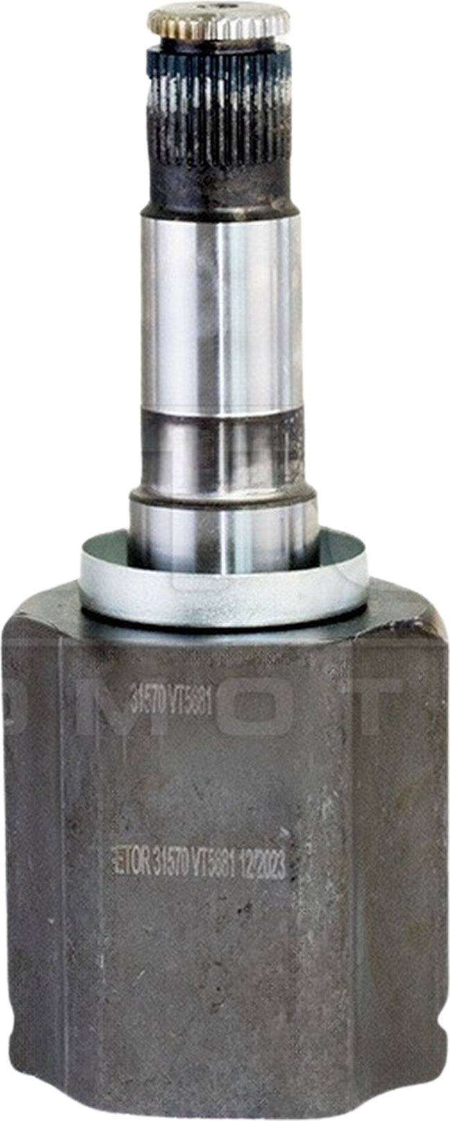 Tulipa - Vetor - VT5681 - (4)