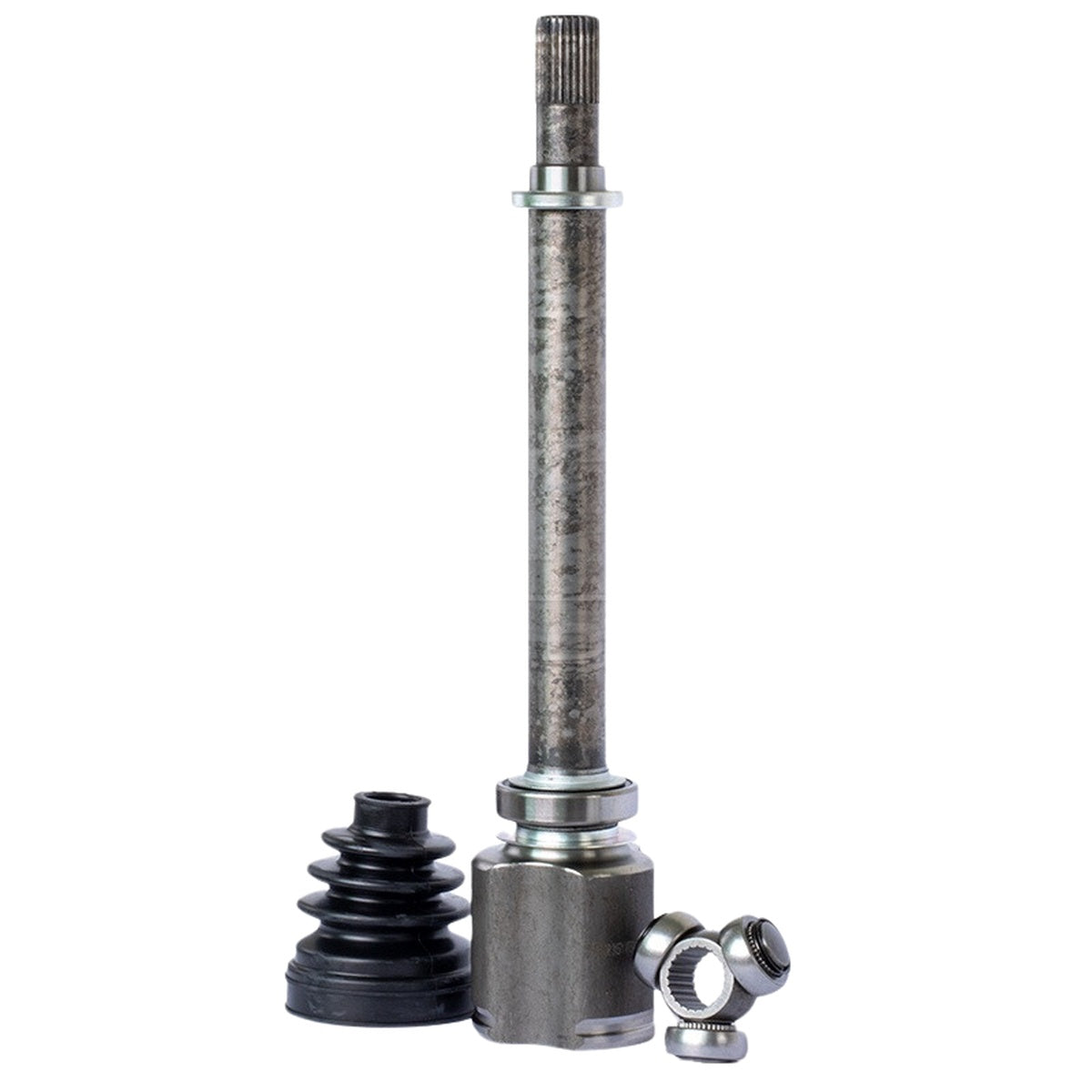 Tulipa - Vetor - VT5776 - (2)