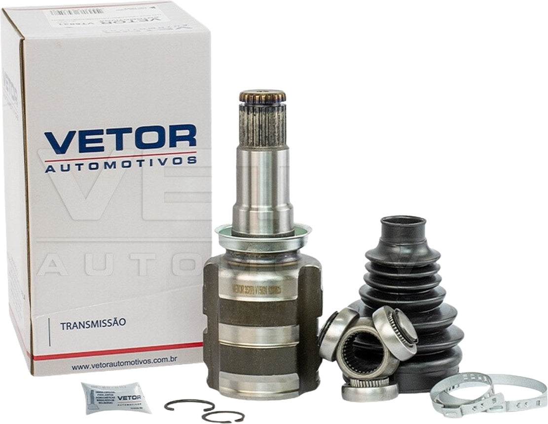 Tulipa - Vetor - VT5831 - (1)