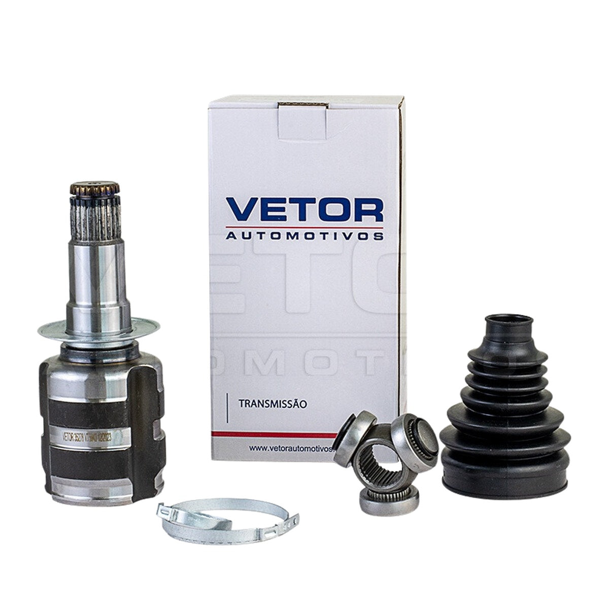 Tulipa - Vetor - VT5843 - (1)