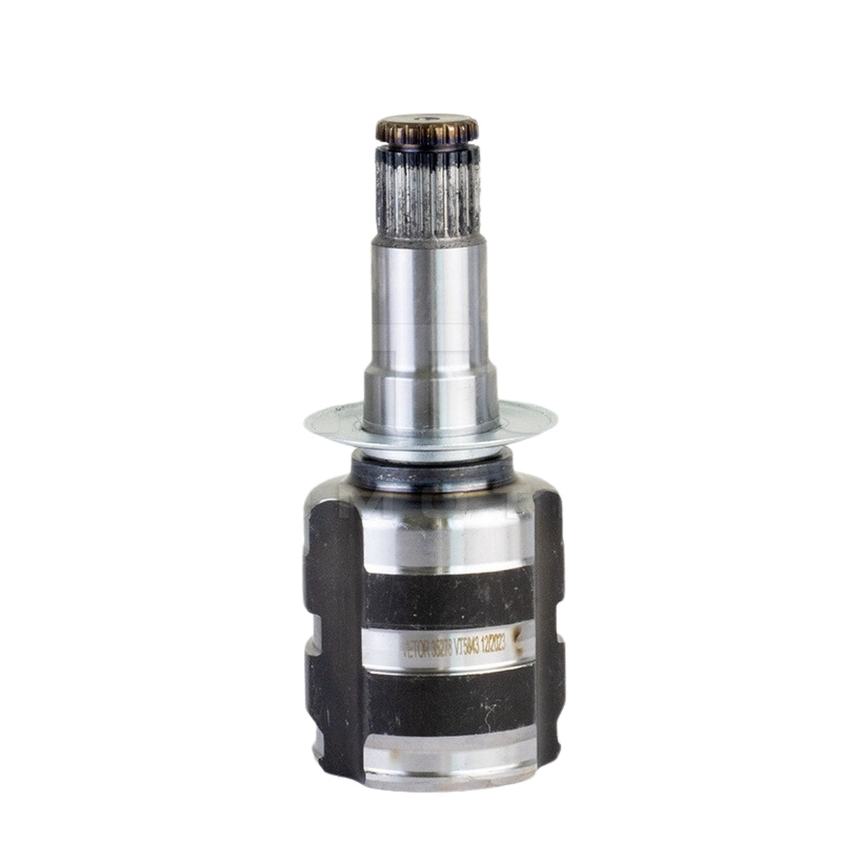 Tulipa - Vetor - VT5843 - (2)